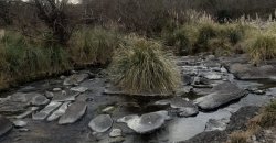 VENTA LOTES CON RIO EN CARLOS PAZ