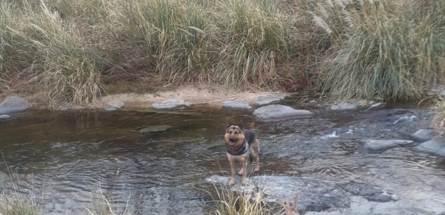 VENTA LOTES CON RIO EN CARLOS PAZ